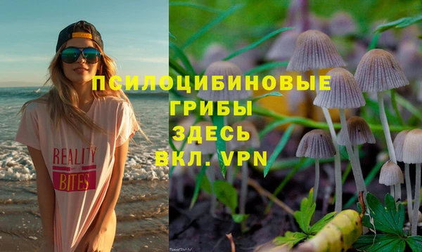 герыч Бородино