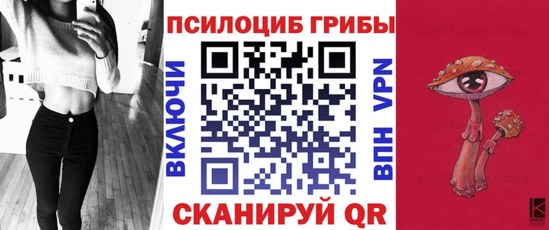 Псилоцибиновые грибы Psilocybine cubensis  купить   Юрга 